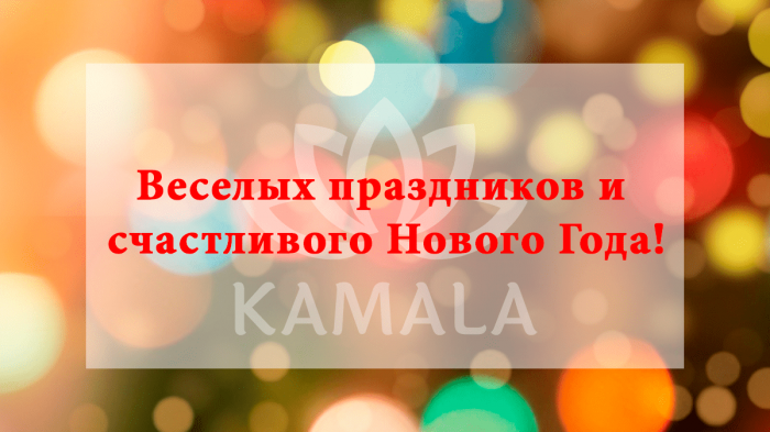 С Новым Годом 2021!