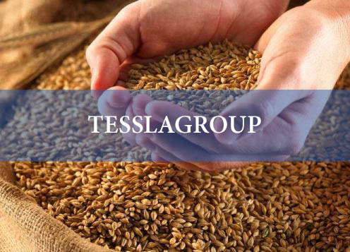Автоматизация компании “TESSLAGROUP”