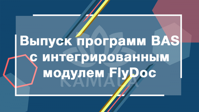 Выпуск программ BAS с интегрированным модулем FlyDoc