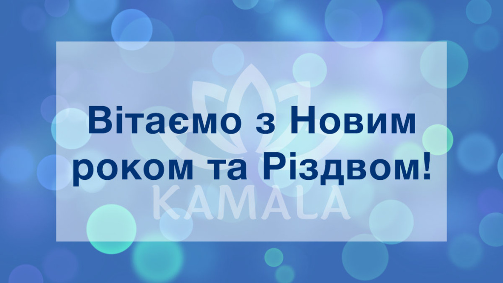 С Рождеством и Новым Годом 2024!