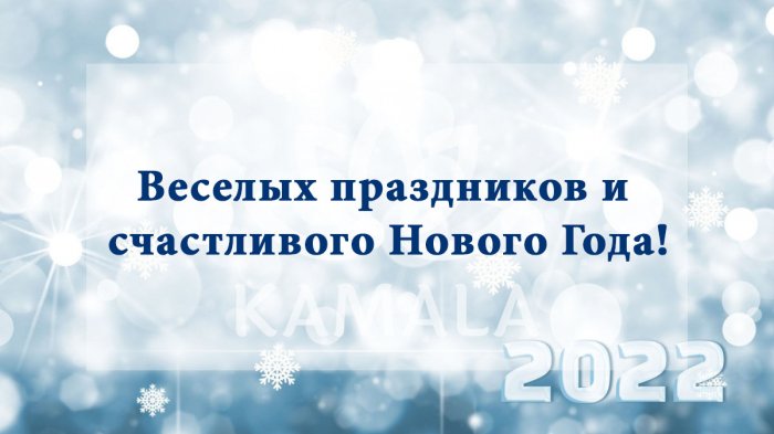 С Новым Годом 2022!