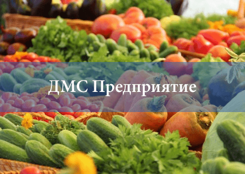 Автоматизация торговой компании «ДМС Предприятие» 