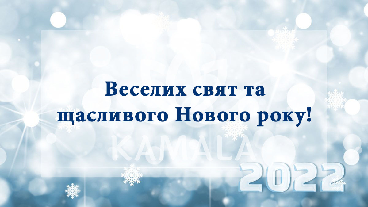 С Новым Годом 2022!