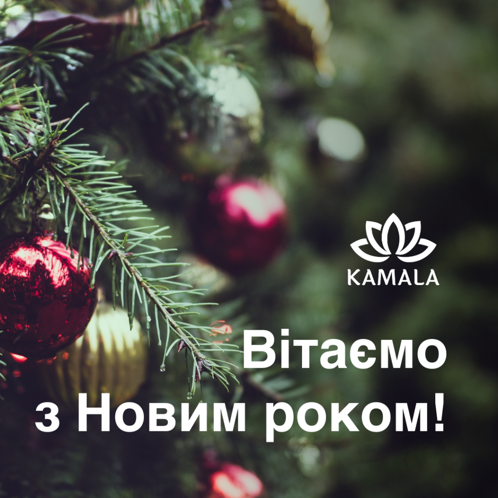 Камала Новий рік Листівка 2025.png Камала Новий рік Листівка 2025.png